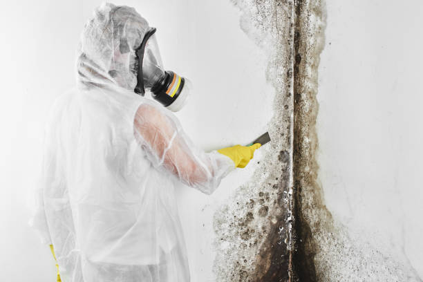 Water Damage Restoration in Sargent, TX