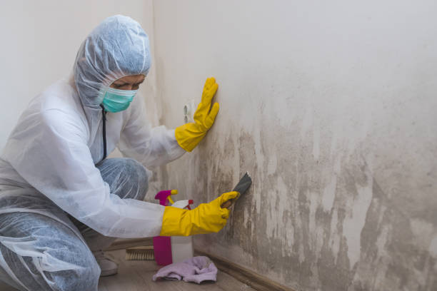 Best Residential Mold Removal  in Sargent, TX