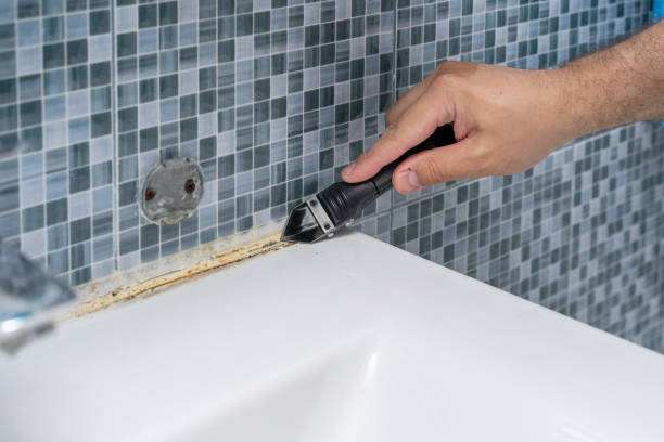 Best Mold Remediation Services  in Sargent, TX