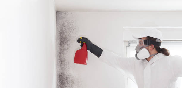 Best Professional Mold Removal  in Sargent, TX