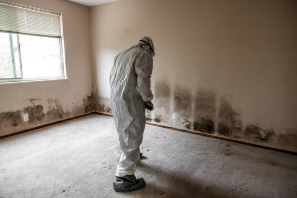 Best Mold Testing  in Sargent, TX